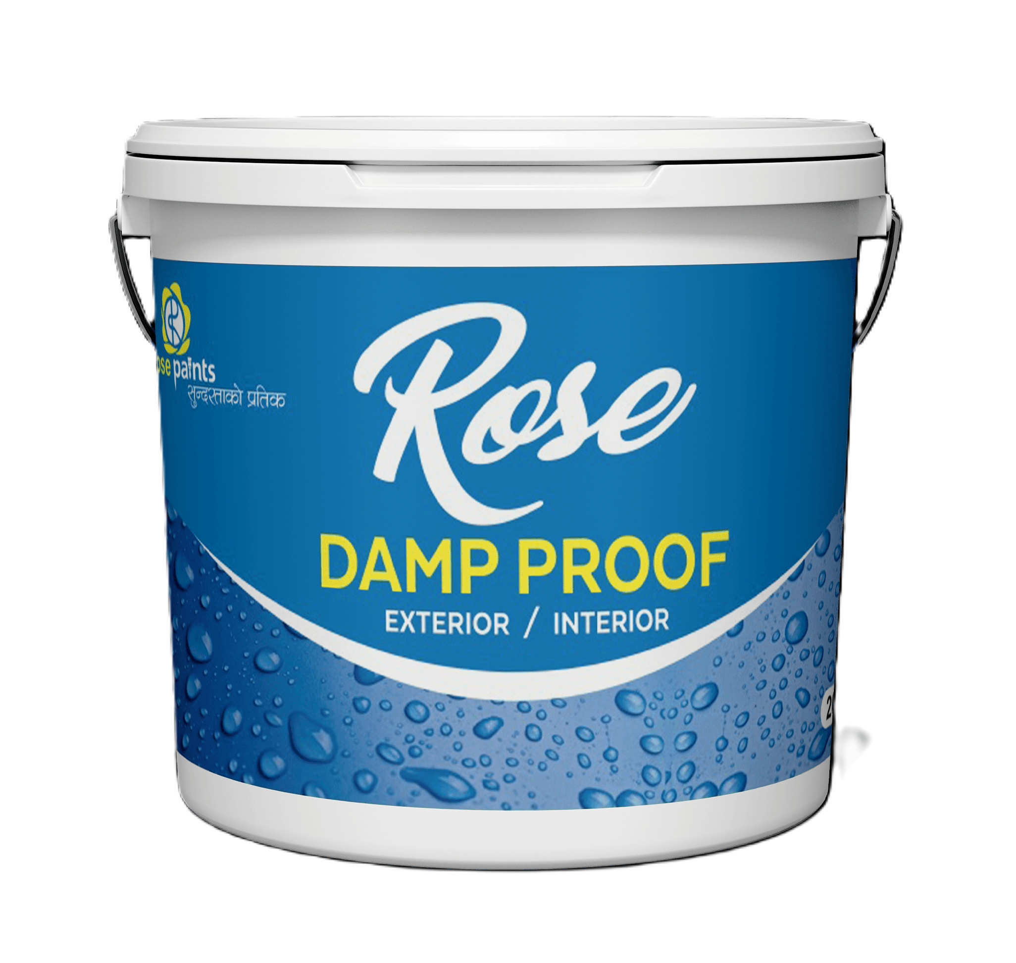 Rose Damp Proof